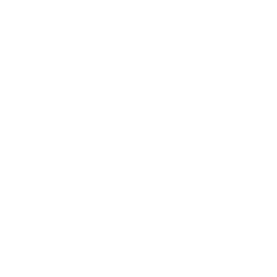 integrity-icon-step